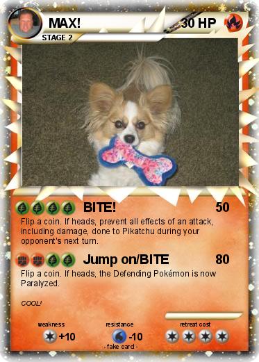 Pokemon MAX!