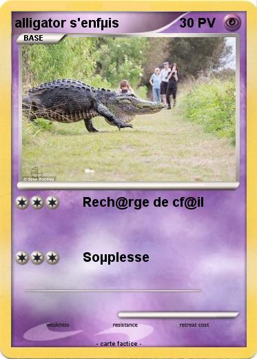 Pokemon alligator s'enfµis