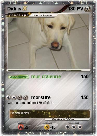 Pokemon Didi