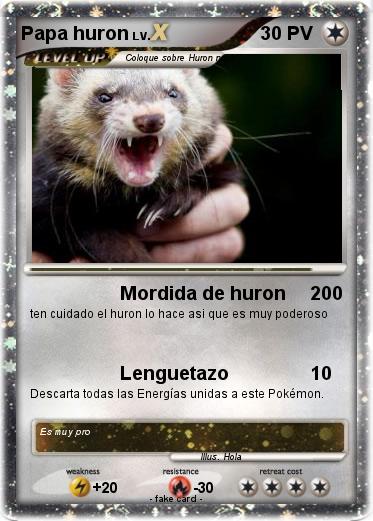 Pokemon Papa huron