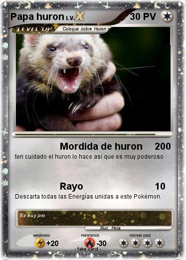 Pokemon Papa huron