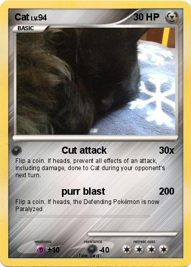 Pokemon Cat