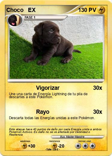 Pokemon Choco   EX