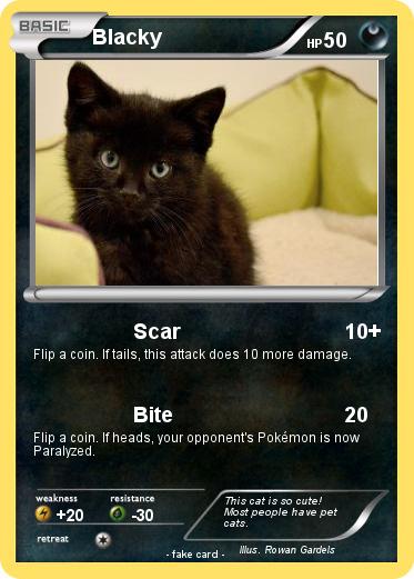 Pokemon Blacky
