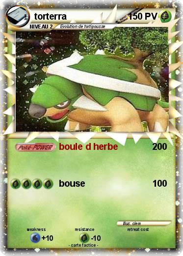 Pokemon torterra