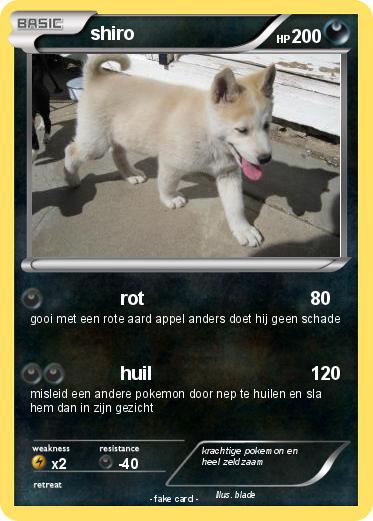 Pokemon shiro