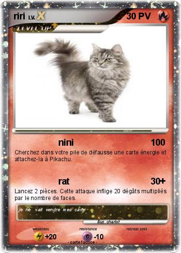 Pokemon riri