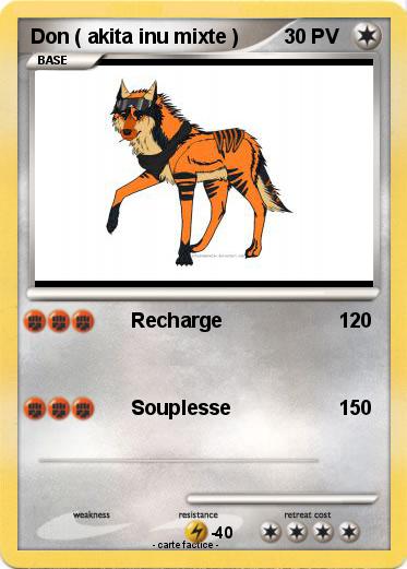 Pokemon Don ( akita inu mixte )