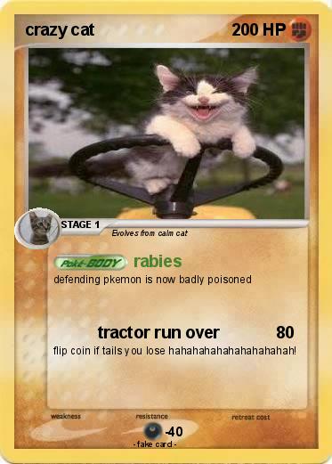 Pokemon crazy cat