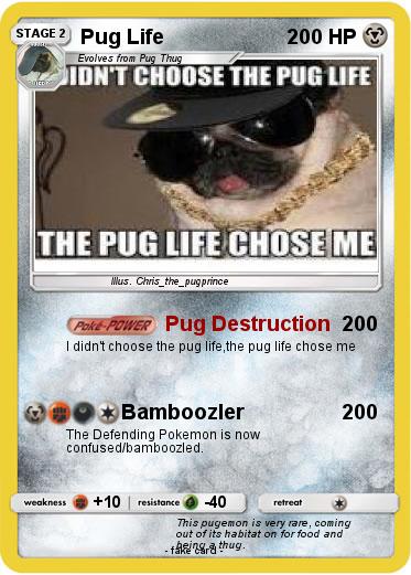 Pokemon Pug Life