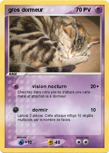 Pokemon gros dormeur