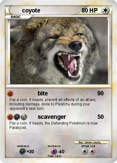 Pokemon coyote