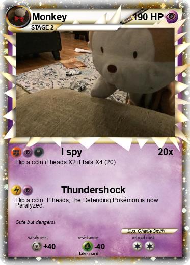Pokemon Monkey