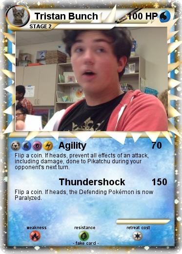 Pokemon Tristan Bunch