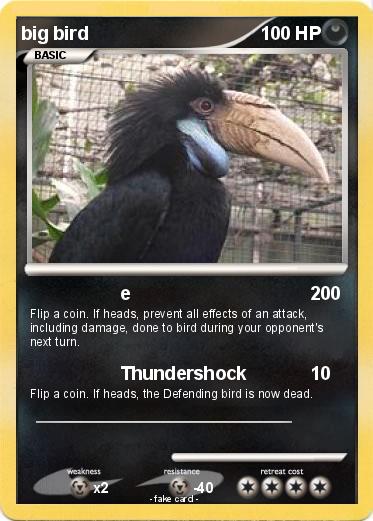 Pokemon big bird