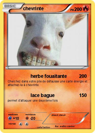 Pokemon chevrinte