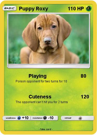 Pokemon Puppy Roxy