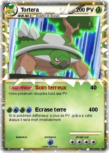 Pokemon Tortera