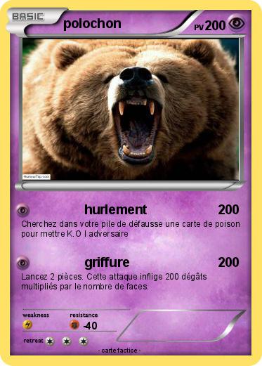 Pokemon polochon