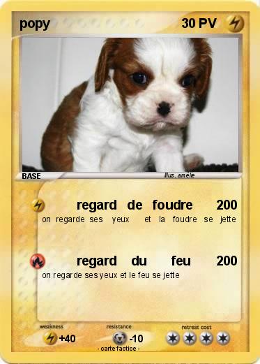 Pokemon popy