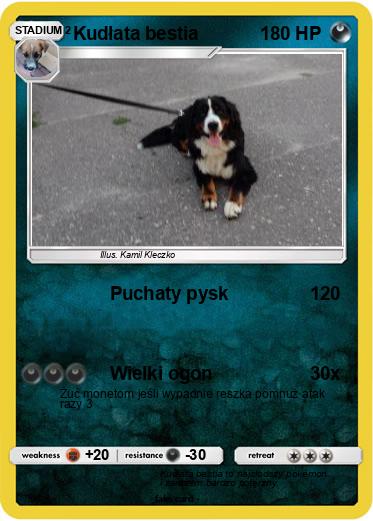Pokemon Kudłata bestia