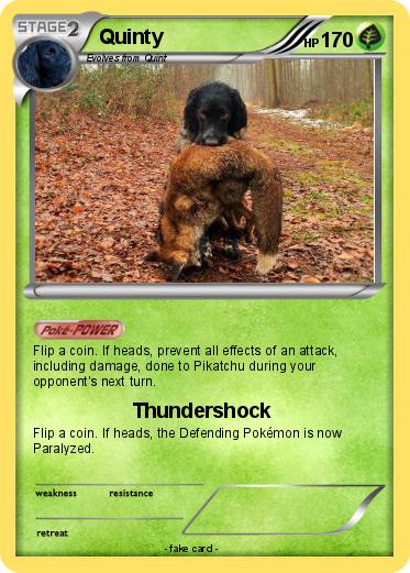 Pokemon Quinty