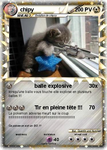 Pokemon chipy