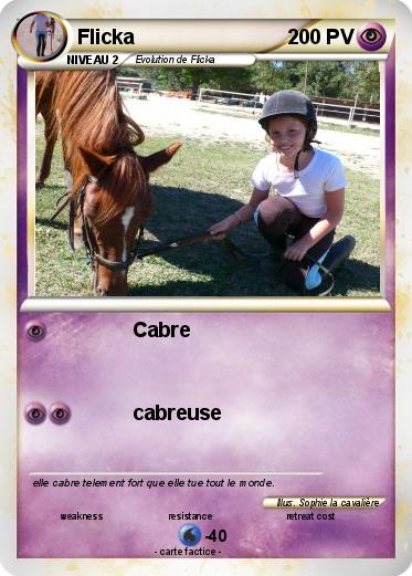 Pokemon Flicka