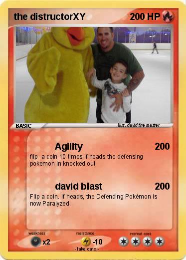 Pokemon the distructorXY