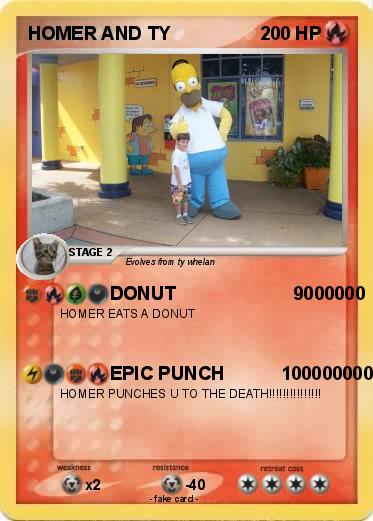 Pokemon HOMER AND TY