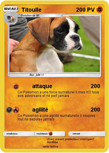 Pokemon Titoulle