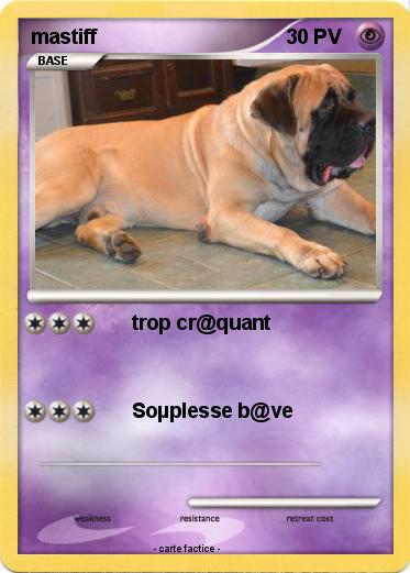 Pokemon mastiff