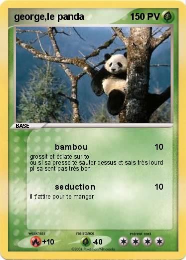 Pokemon george,le panda
