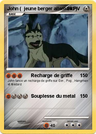 Pokemon John (  jeune berger allemand )