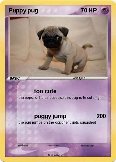 Pokemon Puppy pug