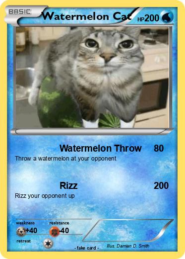 Pokemon Watermelon Cat