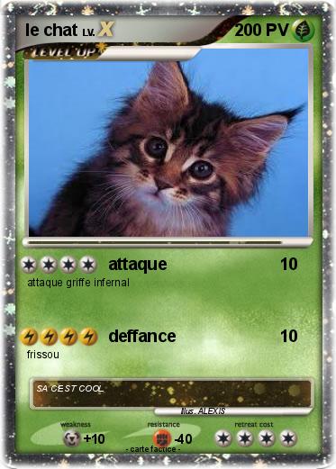 Pokemon le chat