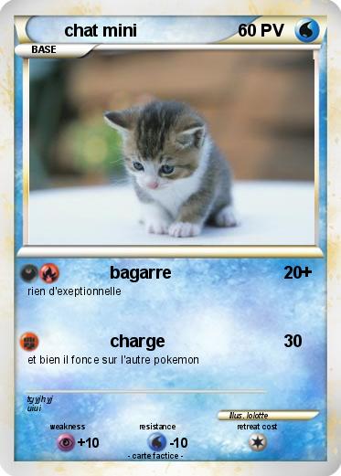 Pokemon chat mini