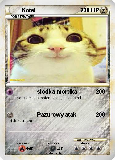 Pokemon Koteł