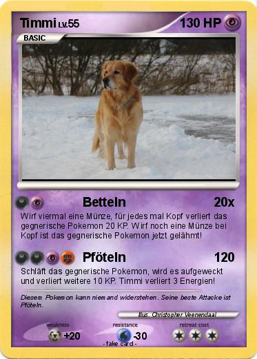 Pokemon Timmi
