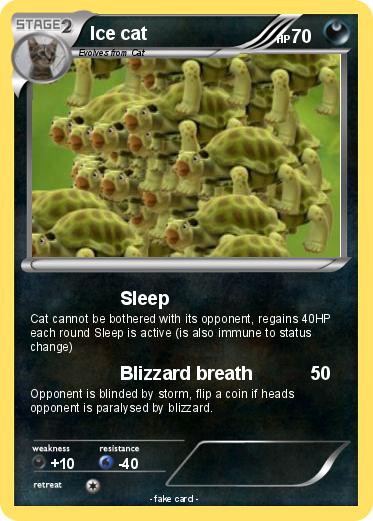 Pokemon Ice cat