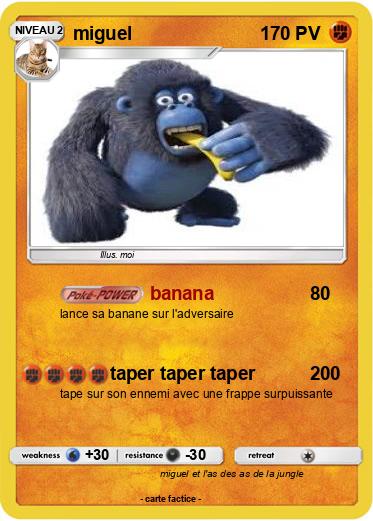 Pokemon miguel