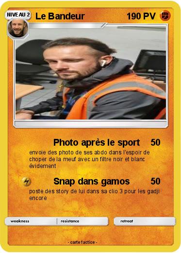 Pokemon Le Bandeur
