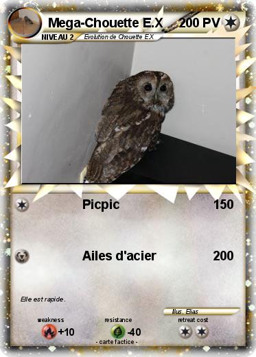 Pokemon Mega-Chouette E.X