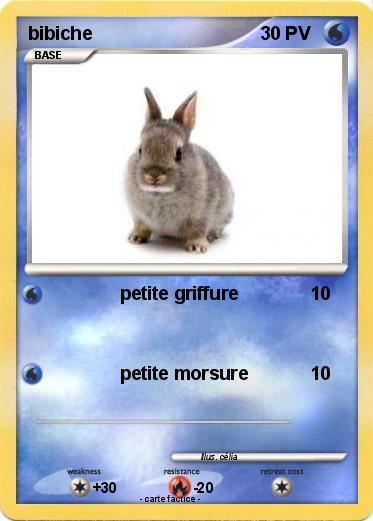 Pokemon bibiche