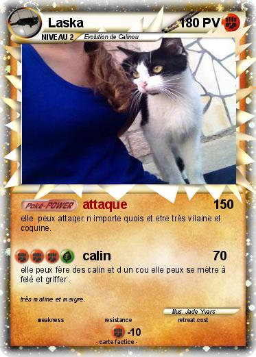 Pokemon Laska