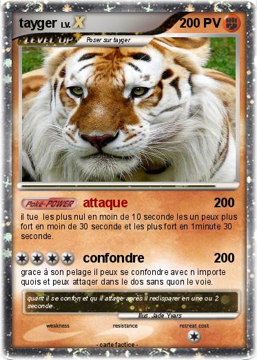 Pokemon tayger
