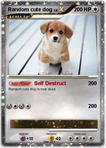 Pokemon Random cute dog