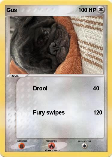 Pokemon Gus