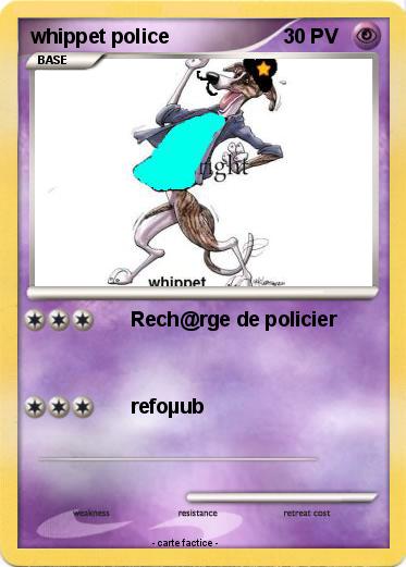 Pokemon whippet police